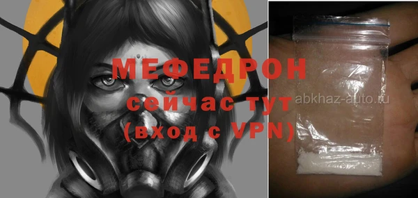 индика Арсеньев