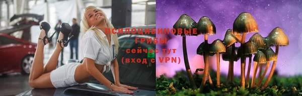 крисы Аркадак