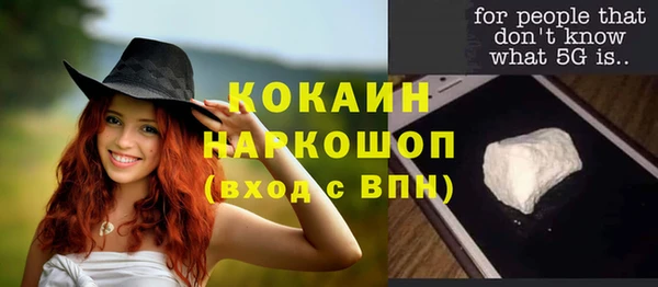индика Арсеньев