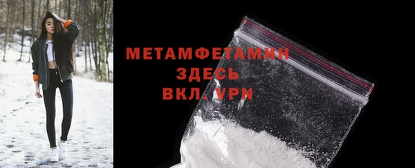 индика Арсеньев