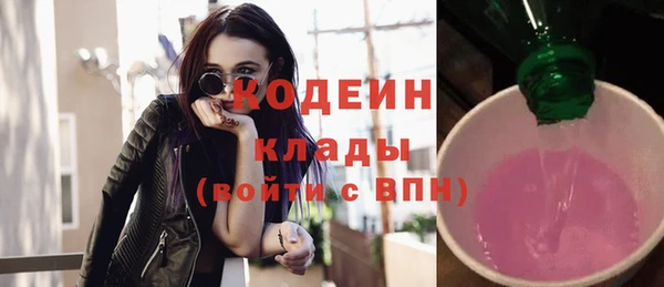 индика Арсеньев
