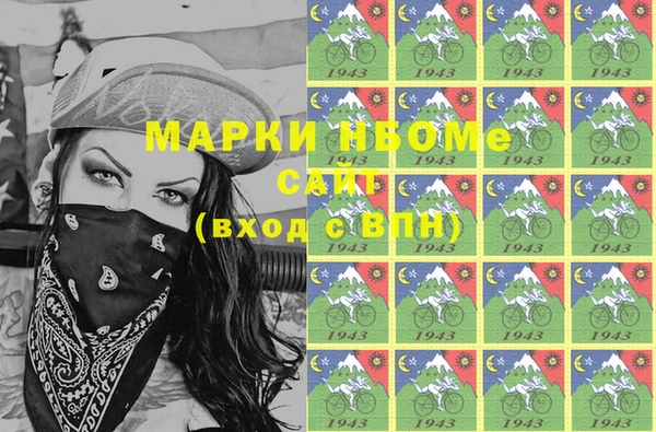 индика Арсеньев