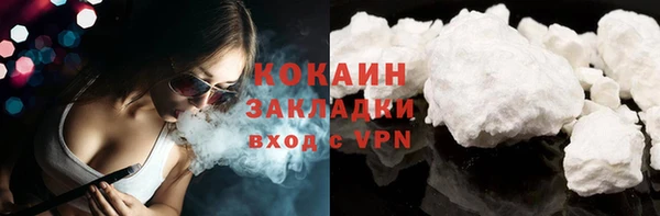 индика Арсеньев