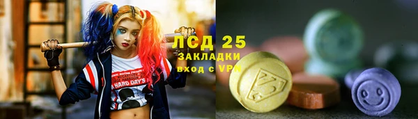 индика Арсеньев