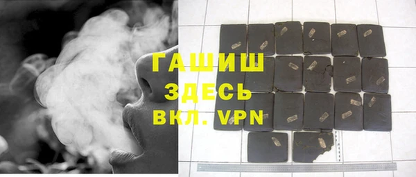 индика Арсеньев