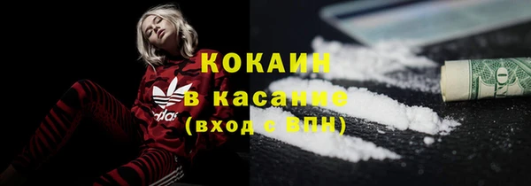 крисы Аркадак