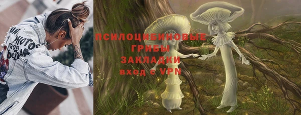 крисы Аркадак