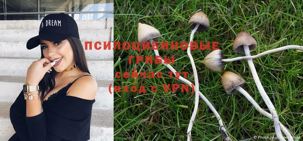 индика Арсеньев