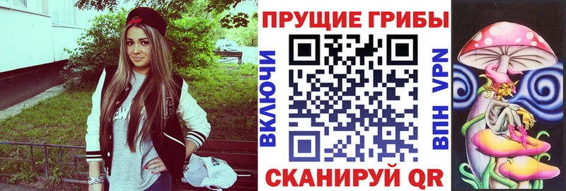Псилоцибиновые грибы мицелий  закладка  Чернушка 