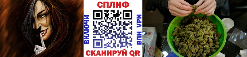 Бошки марихуана план  Чернушка 
